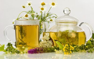 High Tea: The types, uses and benefits of CBD tea