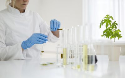 Proper Lab Testing for CBD and Why it is Important