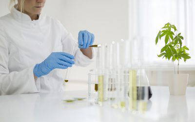 Proper Lab Testing for CBD and Why it is Important